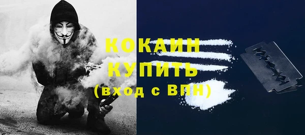 хмурый Кодинск