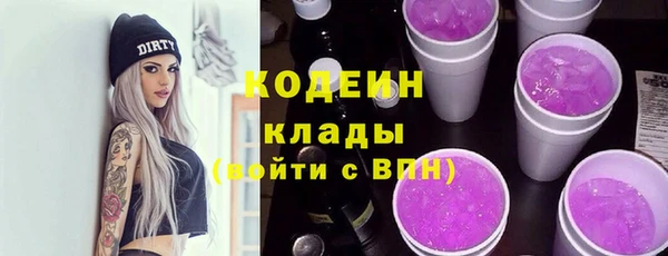 хмурый Кодинск