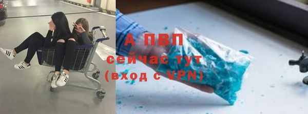 хмурый Кодинск